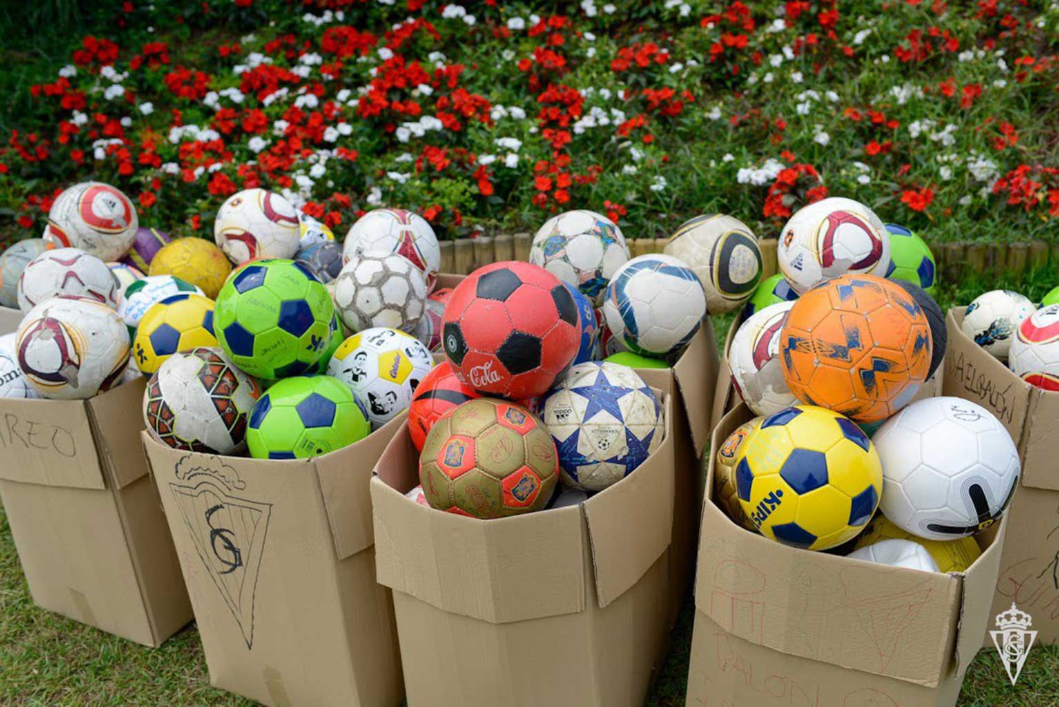 El Campus de Mareo recoge 160 balones para los niños de Guinea Ecuatorial Sporting1905